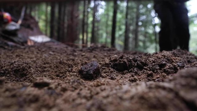 Manual worker raking dirt in forest.