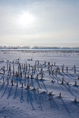 Tranquil Winter snow covering harvested farm field with long shadows from the sun and white grey sky wispy high clouds vertical v3