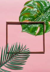 Nature and summer concepts ideas,Trendy summer tropical leaves foliage plant close up with box frame copy space on color background for decoration design. top view