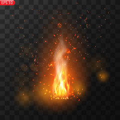 Realistic burning fire flames vector 