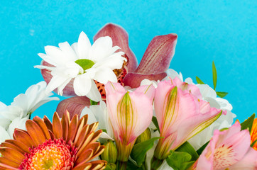 Bouquet of bright beautiful flowers on blue background