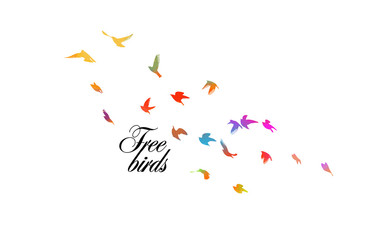 Multi-colored birds. A flock of flying rainbow birds. Mixed media. Vector illustration