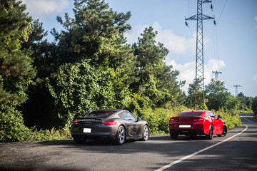 Fototapeta premium Red and silver racecars rushing in the forest