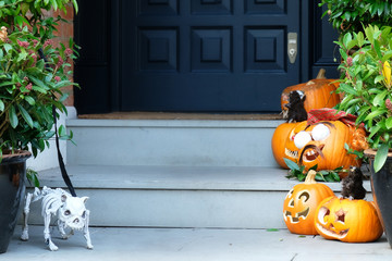 Halloween decorations of traditional english house. Funny curved pumpkins and dog skeleton on the...