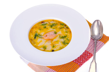 Finnish cream and salmon soup. Studio Photo