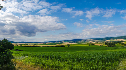 Landscape in Germany at Summer