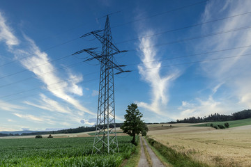 Power line pylon surround meadows