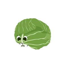 Isolated cabbage cartoon