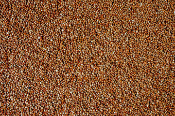 Buckwheat. fresh buckwheat. dry buckwheat background. texture.Wooden spoon of roasted buckwheat on buckwheat groat jar background, gluten free ancient grain for healthy diet, selective focus.