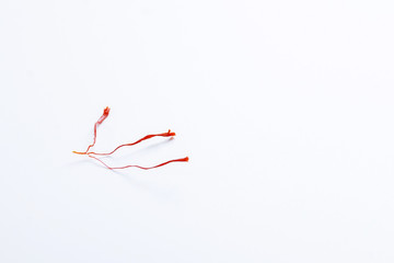 Dried saffron thread on a white background. Copyspace.