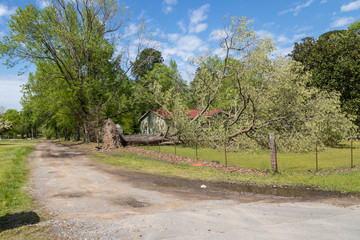 Easter Sunday Storm Damage Arkansas