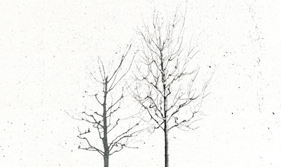 dead dried tree global warming ecology disaster monochrome concept of bare branches silhouette on white noisy background