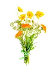 Bunch of orange wildflowers on white background