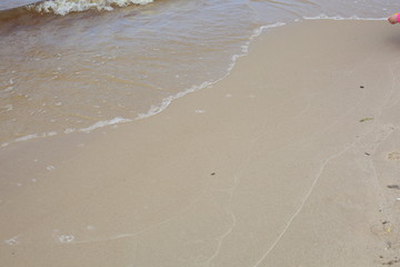 the shore of the Gorky sea