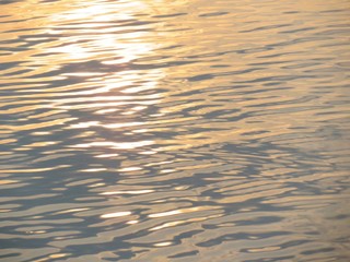日本の田舎の風景　7月　川辺の夕景　シオカラトンボ