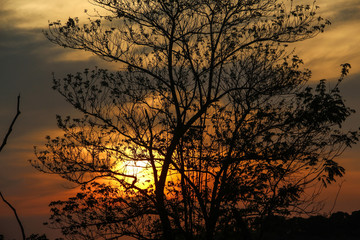 Fototapeta na wymiar sunset 
