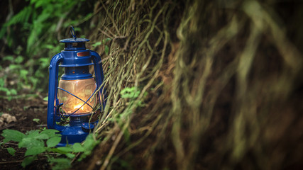 Lantern in Garden