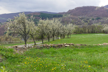 Spring Landscape of Balkan Mountains, Bulgaria