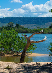 The Xingu river, in the amazon forest, Brazil