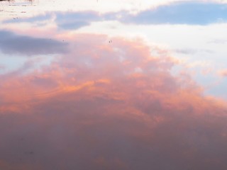 日本の田舎の風景　7月　空を写す田んぼの夕景