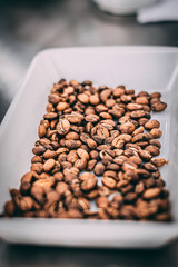 roasted coffee beans on a white plate

