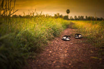 closeup slippers on the ground in Meadow at sunset.