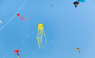 Fototapeta na wymiar Colorful Kites Flying in blue spring sky at the Kite Festival