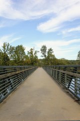 wooden bridge in the park