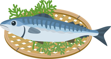Vector illustration of Atlantic mackerel on a basket.
