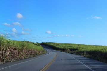 road in the field