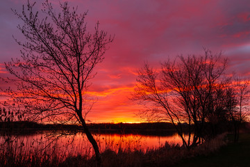 Fototapeta premium sunset on the lake