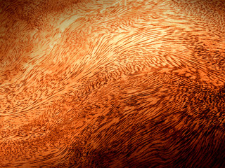 Real natural wood texture and surface background.