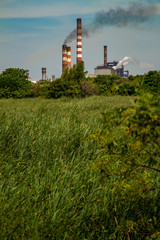 Pollution and nature...