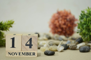 November 14, Number cube design in natural concept.