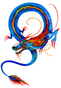 Stylized asian blue dragon. For print, T-shirt design. Hand drawn watercolor illustration isolated on white