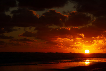 Obraz premium On the beach...