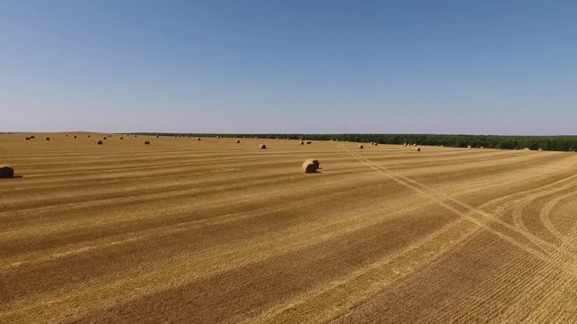 Rolls of Hay on Mowed Field. Autumn. Shooting from the Air.
