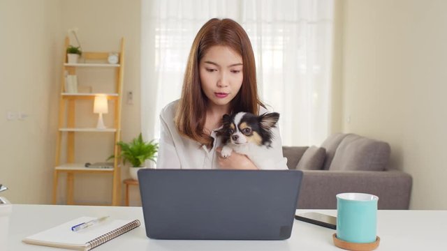 Asian woman using lapktop computer work at home and play with dog pet in home office. Work from home life, domestic lifestyle, or self isolation remote working during coronavirus crisis concept