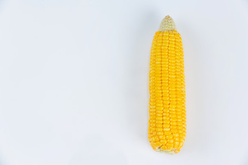 Corn  in the pod isolated from corn field on white background.