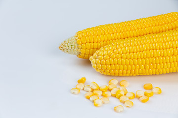 Corn in the pod isolated with corn kernels from corn field on white background.