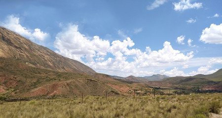 Fototapeta premium Tarde en el campo