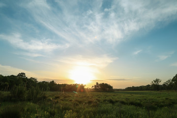 Fototapeta na wymiar sunset over the field, summer landscape