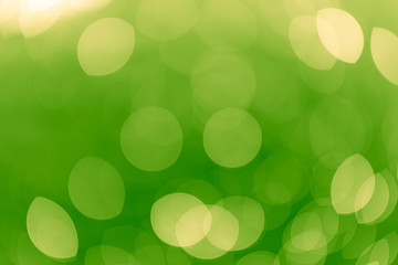 Obraz premium The morning sun shining through the leaves turning into a green-gold bokeh circle.