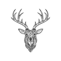 Hand drawn deer head vector