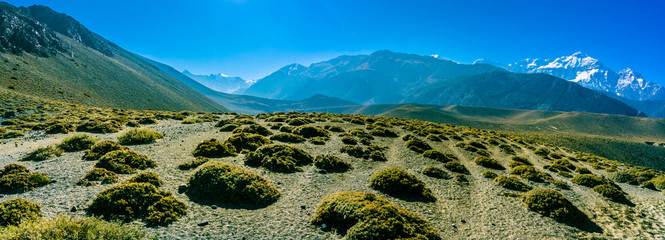 Panorama of high altitude desert like landscape with alpine bush of Mustang region in Nepal with mountains in background. 
