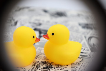 のぞき穴　ひよこ © Eriko Kirimoto