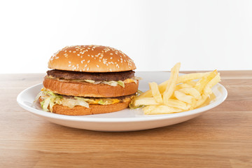 Tasty burger and fries