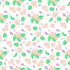 Blooming apple spring floral seamless pattern on white background, vector