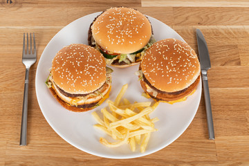 Tasty burger and fries