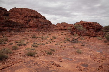 Landscape of kings canyon in outback central Australia.